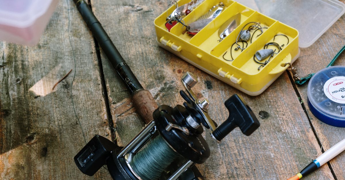 Mastering Fishing Lures: A Novice’s Guide to Catching the Big One!